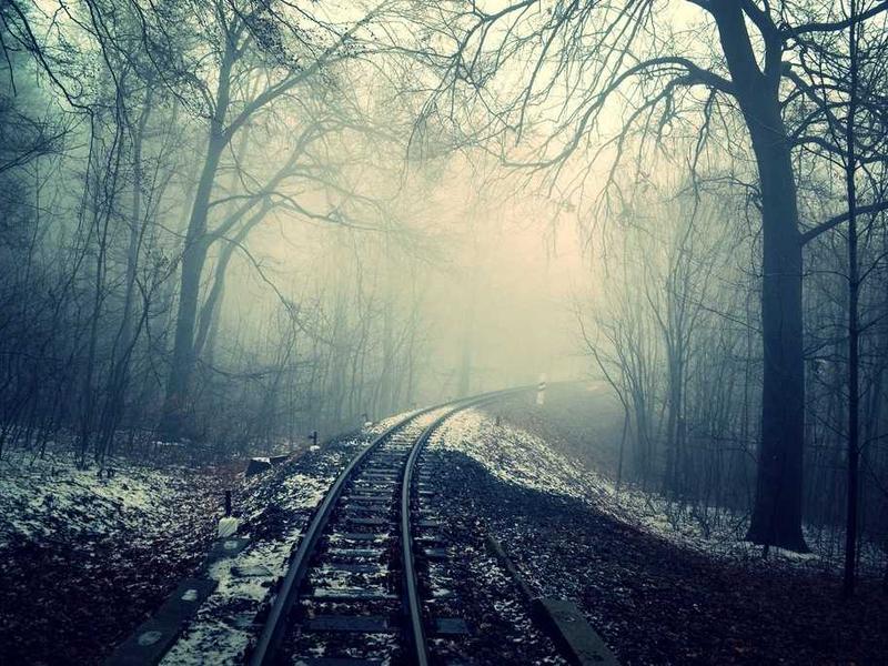游泳的百分之一秒：技术细节的边际革命